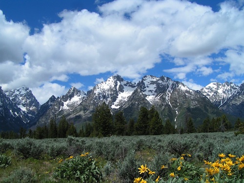 Grand Tetons